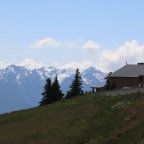 Hurricane Ridge, Olympic National Park, WA