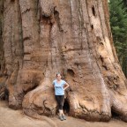 The Wonder of the Giant Forest – Sequoia National Park