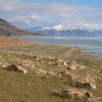 A Retreat Outside of Salt Lake City: Antelope Island State Park