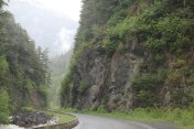 IMG_0261