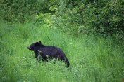 IMG_0426