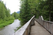 IMG_0847